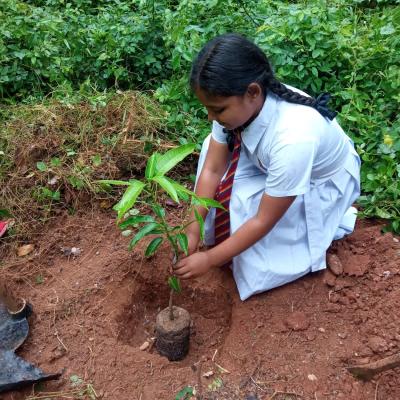 පරිසිරබට ක්‍රියාන්විතය